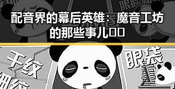 配音界的幕后英雄：魔音工坊的那些事儿🎙️